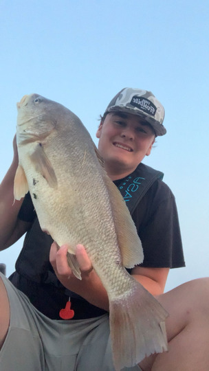 Freshwater Drum