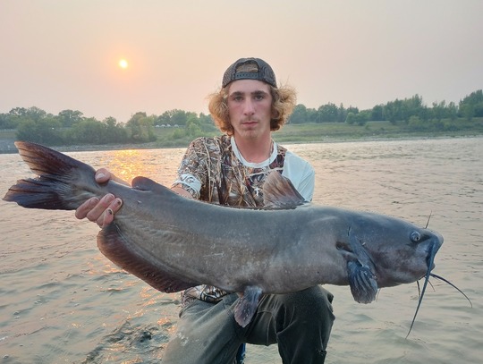 Channel Catfish