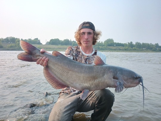 Channel Catfish