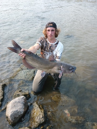 Channel Catfish