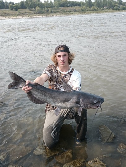 Channel Catfish