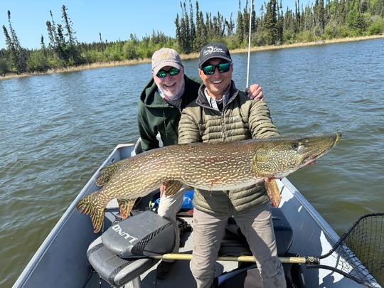 Northern Pike