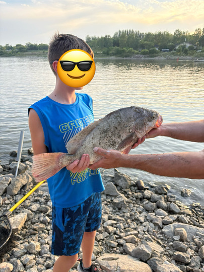 Freshwater Drum
