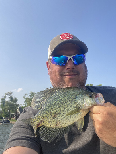 Black Crappie