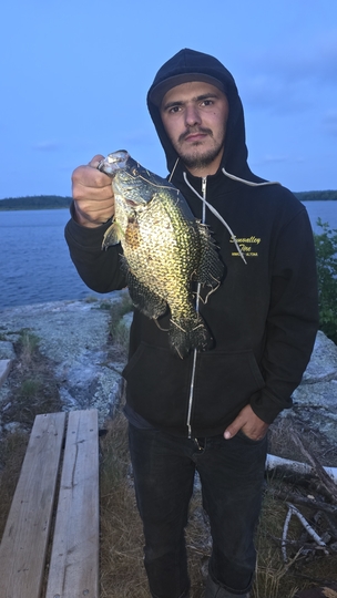 Black Crappie