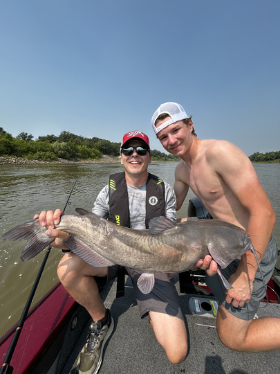 Channel Catfish