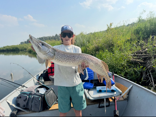 Northern Pike