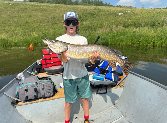Northern Pike