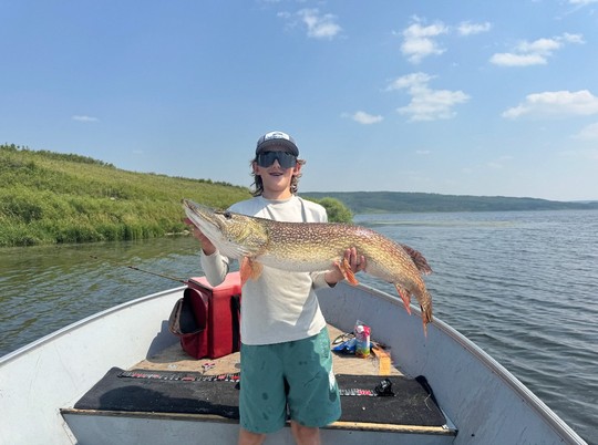 Northern Pike