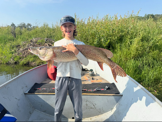 Northern Pike