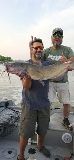 Channel Catfish