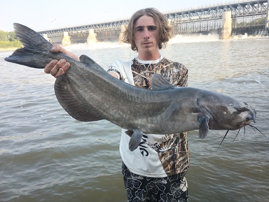 Channel Catfish