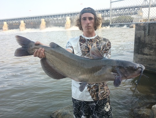 Channel Catfish