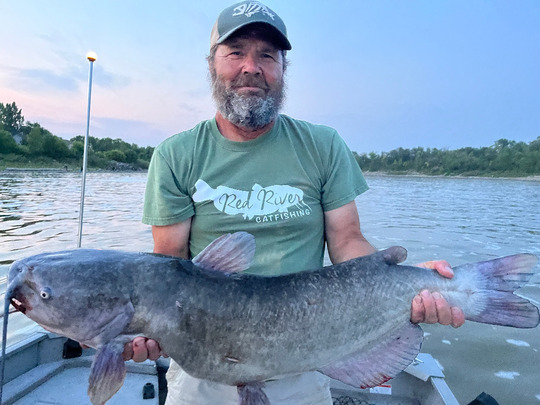 Channel Catfish