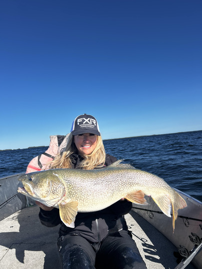 Lake Trout