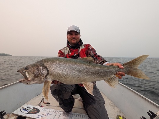 Lake Trout