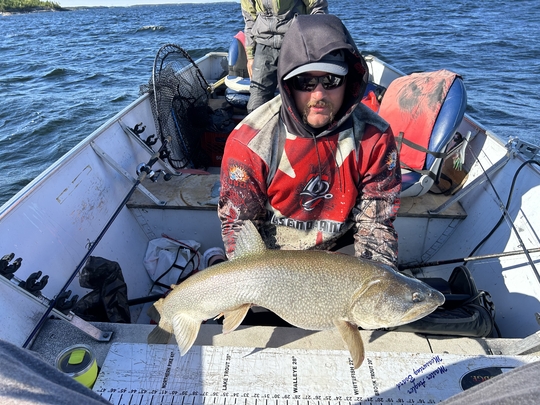 Lake Trout