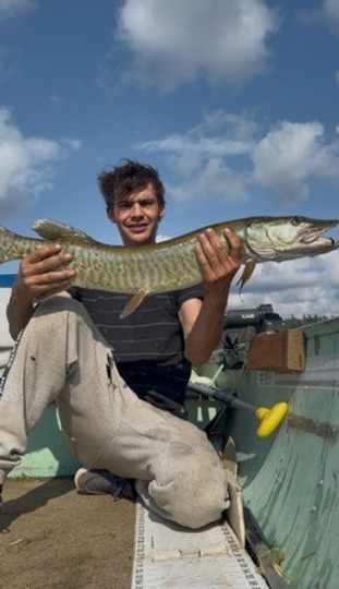Muskellunge