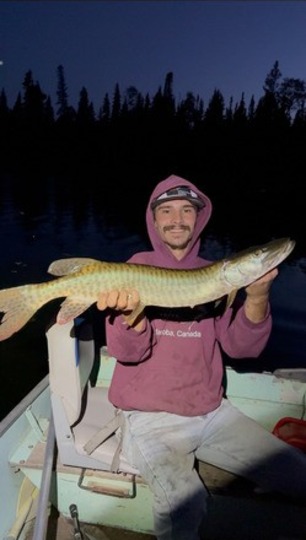 Muskellunge