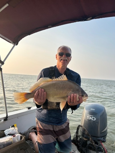 Freshwater Drum