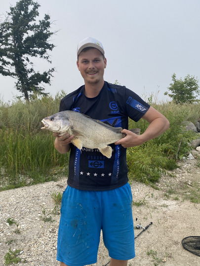 Freshwater Drum