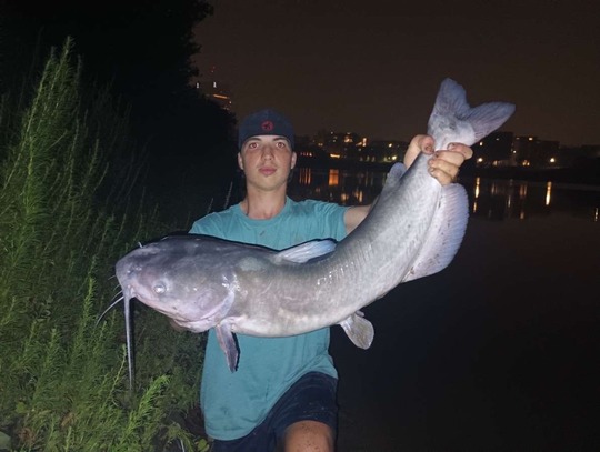 Channel Catfish