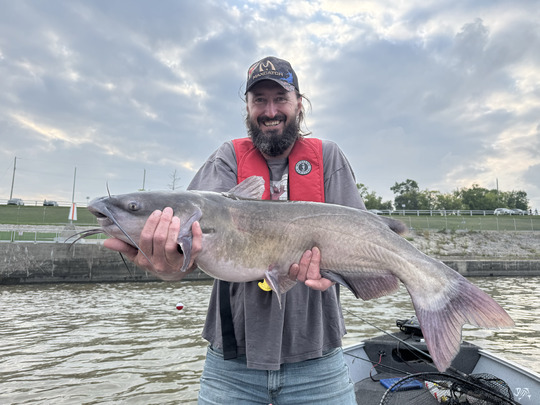Channel Catfish