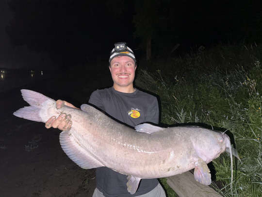 Channel Catfish