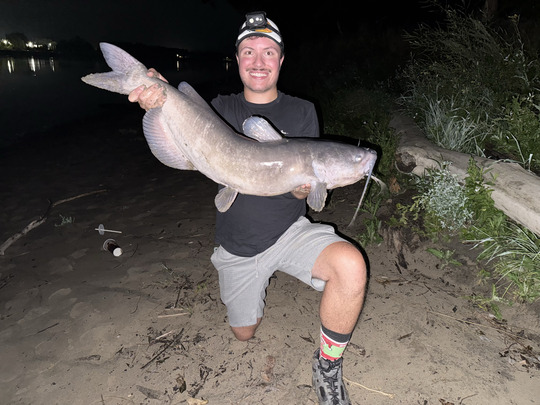 Channel Catfish