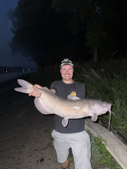 Channel Catfish