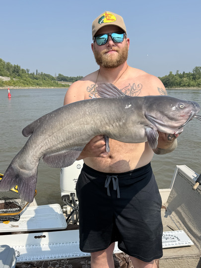 Channel Catfish