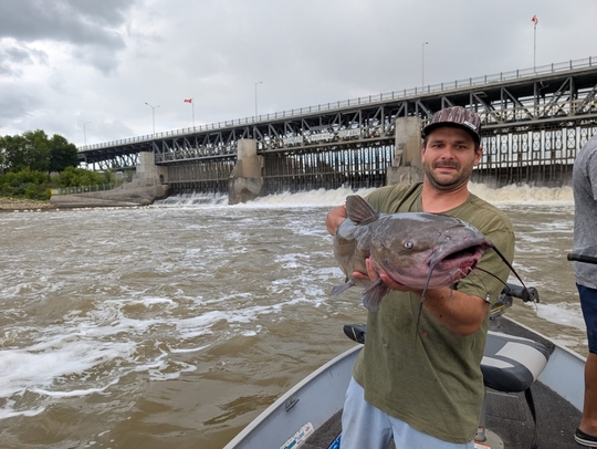 Channel Catfish