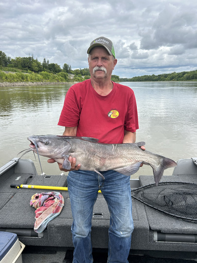 Channel Catfish