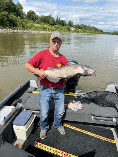 Channel Catfish