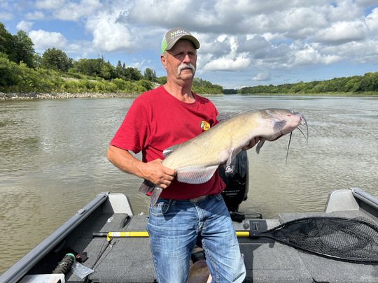 Channel Catfish