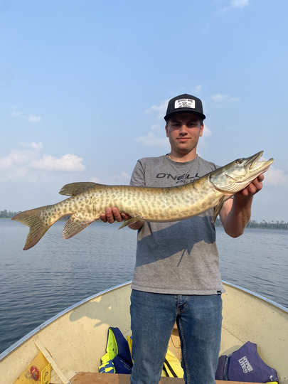 Muskellunge