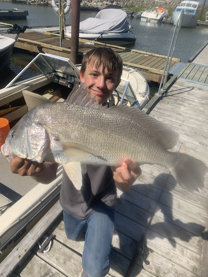 Freshwater Drum