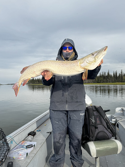 Northern Pike