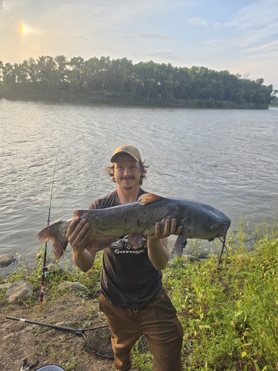 Channel Catfish