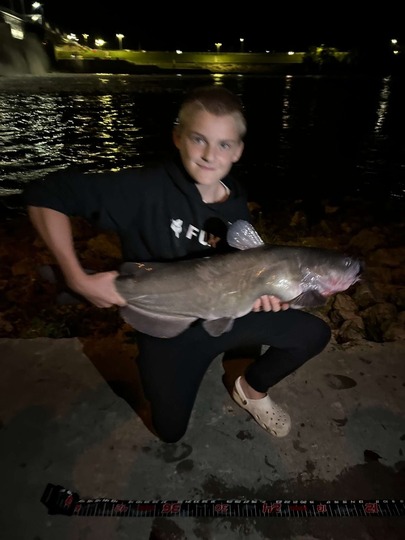 Channel Catfish
