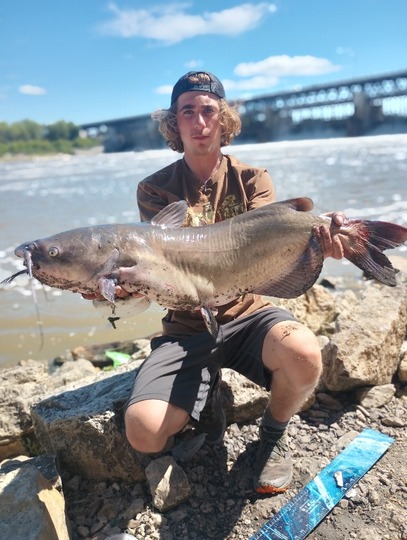 Channel Catfish
