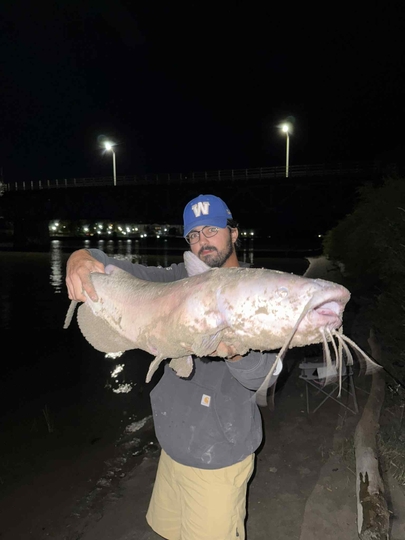 Channel Catfish