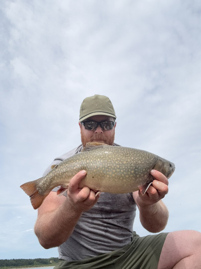 Brook Trout