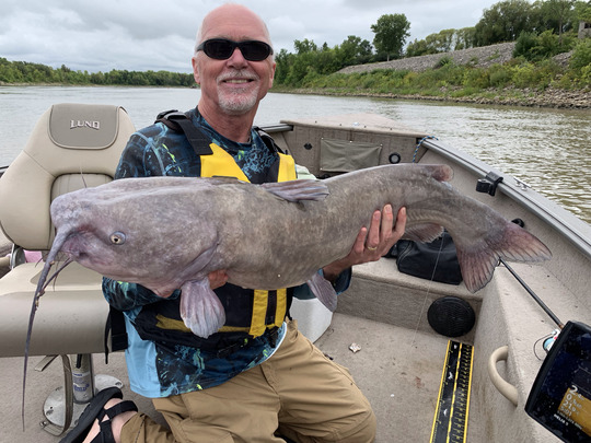 Channel Catfish