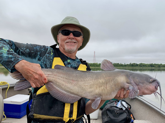 Channel Catfish