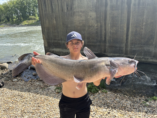 Channel Catfish