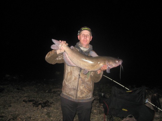 Channel Catfish