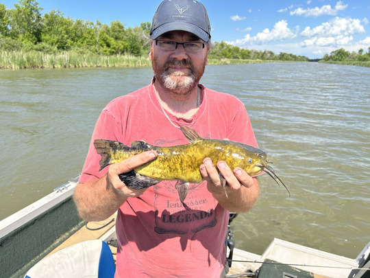 Bullhead