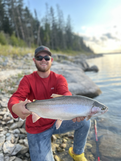 Rainbow Trout