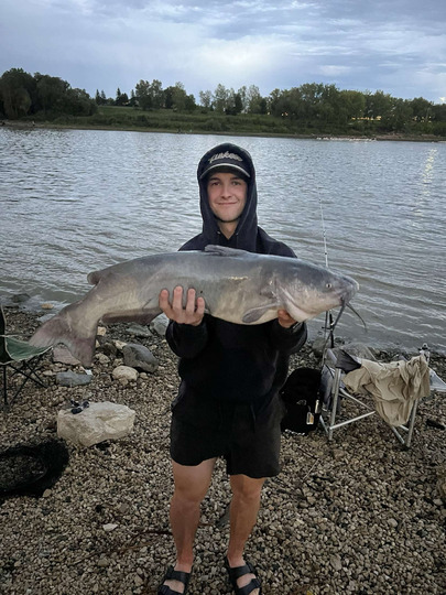 Channel Catfish
